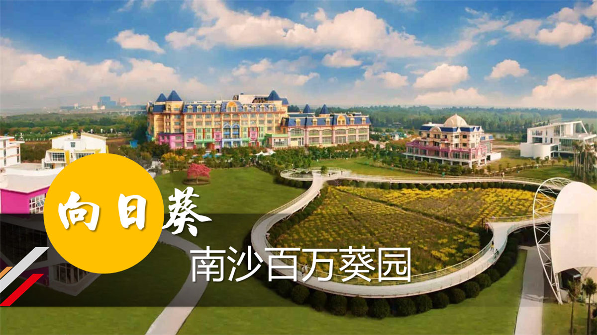 廣州南沙百萬(wàn)葵園