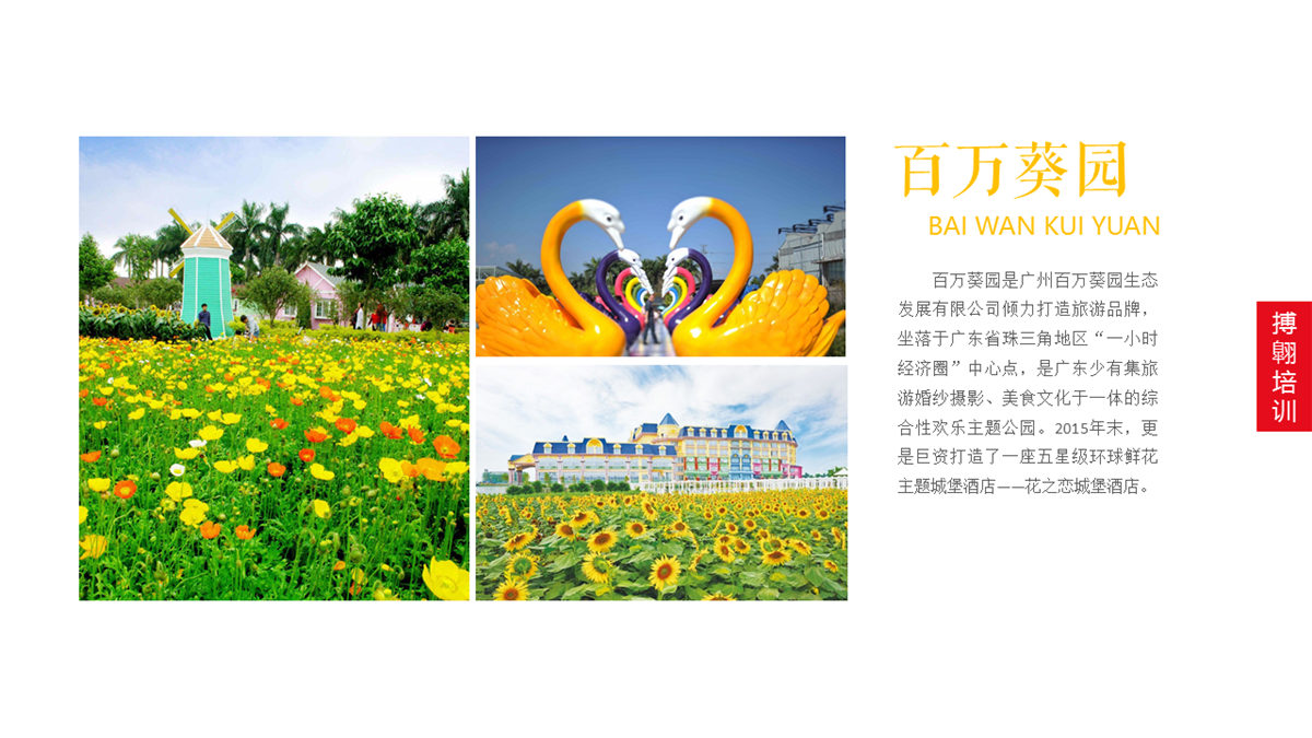 廣州南沙百萬(wàn)葵園