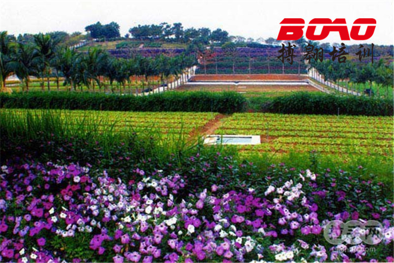 惠州巽寮灣永記生態(tài)園 惠州巽寮灣永記生態(tài)園